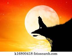 wolf in the moolight wolf in the moolight