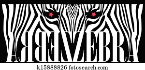 Zebra Zebra