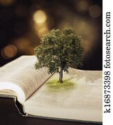 árvore, em, a, Bible.