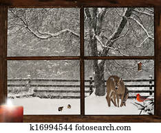 בוקר של חג ההמולד, הבט.