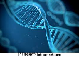 די.אנ.אי, מולקולות