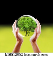 לחסוך, טבע, מושג