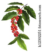 bohnenkaffee bohnenkaffee