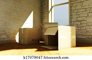 cardboard boxes