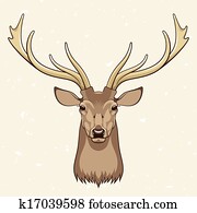 Deer Deer