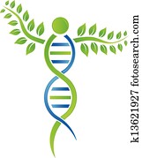 DNA Plant DNA Plant