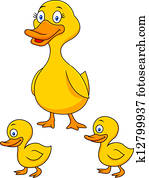 Duck family