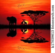 Elephant at sunset Elephant at sunset