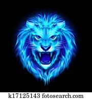 Fair tiger Fair tiger