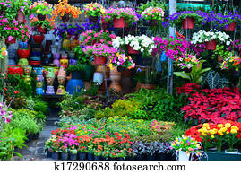 Flower Shop Flower Shop
