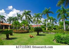 Stone Path Stock Photos | Our Top 1000+ Stone Path Images | Fotosearch