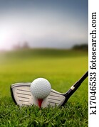 Golf club and ball in grass Golf club and ball in grass
