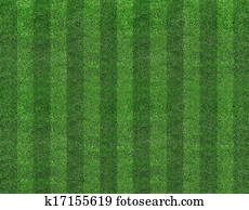 Green football field grass Green football field grass