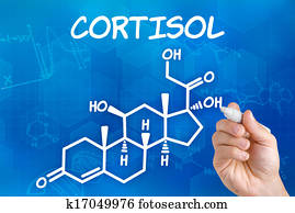 Hand with pen drawing the chemical formula of cortisol Hand with pen drawing the chemical formula of cortisol