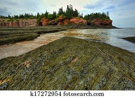 HDR St Martins Caves Seaweed