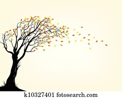 herbstliche, baum herbstliche, baum