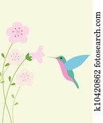 kolibri, hintergrund kolibri, hintergrund