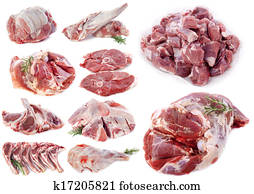 lamb meat lamb meat
