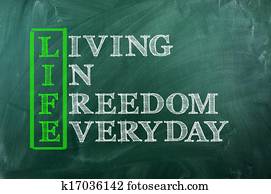 life freedom life freedom