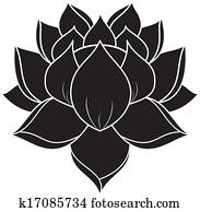 Lotus Set 023 Lotus Set 023