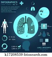 Lungs Infocharts Lungs Infocharts