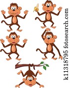 Monkey cartoon Monkey cartoon