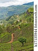 Mountainous terrain of Sri Lanka