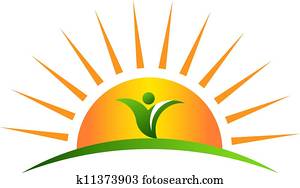 planta, em, amanhecer