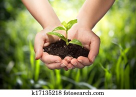 planta, em, mãos, -, capim, fundo