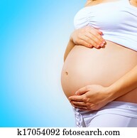 Pregnant Woman Belly. Pregnancy Concept Pregnant Woman Belly. Pregnancy Concept