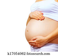 Pregnant Woman Belly. Pregnancy Concept. Isolated on White Pregnant Woman Belly. Pregnancy Concept. Isolated on White
