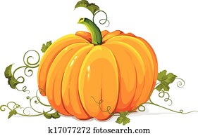 Pumpkin Pumpkin