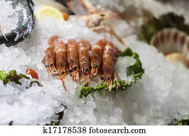 Seafood Seafood