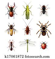 Set of insects on white background Set of insects on white background