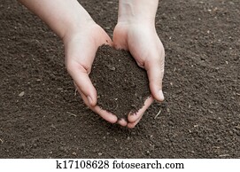 Soil