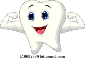 Strong tooth cartoon Strong tooth cartoon
