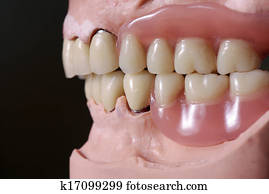 teeth teeth