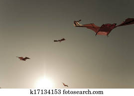 Traditional culture  in south Korea,kite flying