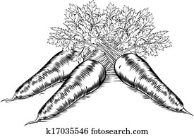 Vintage retro woodcut carrots Vintage retro woodcut carrots