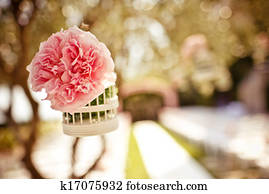 Wedding floral decoration on the tree Wedding floral decoration on the tree