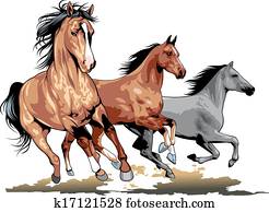 wild horses wild horses