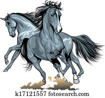 סוסים פראים