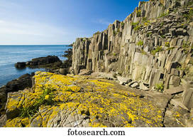 Basalt rock cliffs, Bay of Fundy; Brier Island, Nova Scotia, Canada
