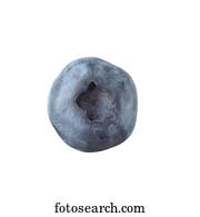 Blueberry on a white background