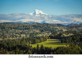 Mount Hood from Sandy Lookout; Sandy, Oregon, United States of America