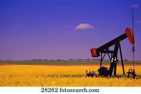 Oil pump jack in canola field Oil pump jack in canola field