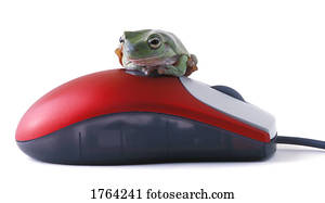 rã, ligado, um, rato