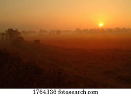 해돋이, 위의, a, 들판