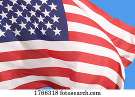 The American flag