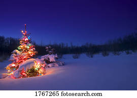 um, árvore natal, glowing, à noite, coberto neve